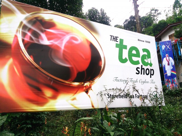 Storefield tea factory